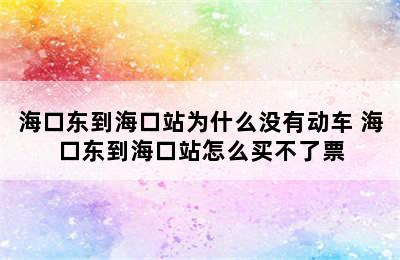 海口东到海口站为什么没有动车 海口东到海口站怎么买不了票